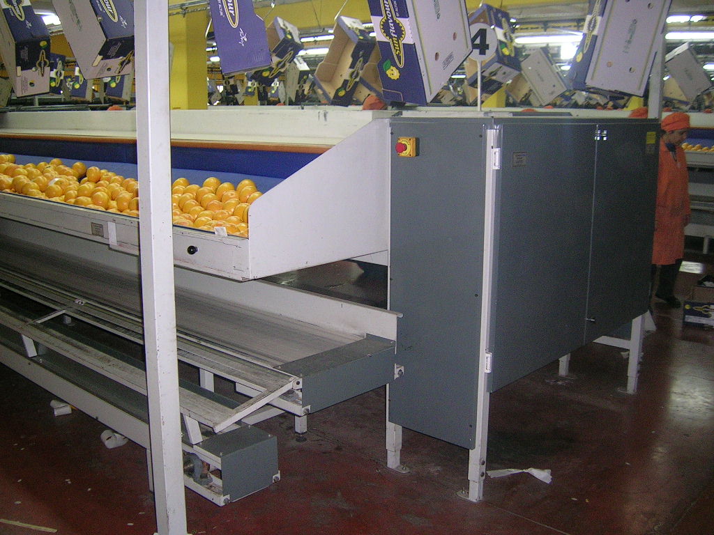 ALTUN @KRAL MACHİNE 004