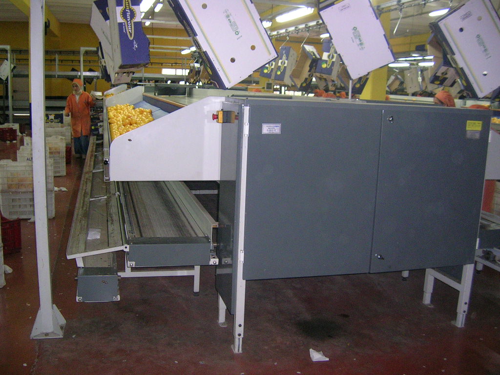 ALTUN @KRAL MACHİNE 005
